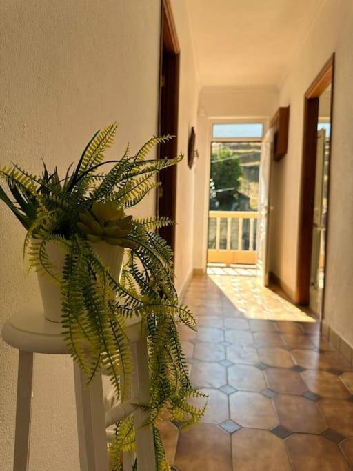 Casa De Sergude Peso da Régua Zewnętrze zdjęcie
