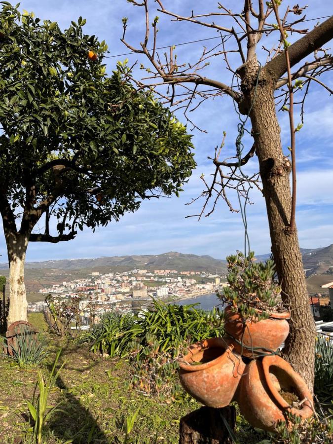 Casa De Sergude Peso da Régua Zewnętrze zdjęcie