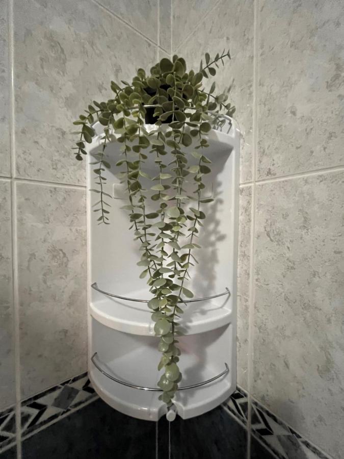 Casa De Sergude Peso da Régua Zewnętrze zdjęcie
